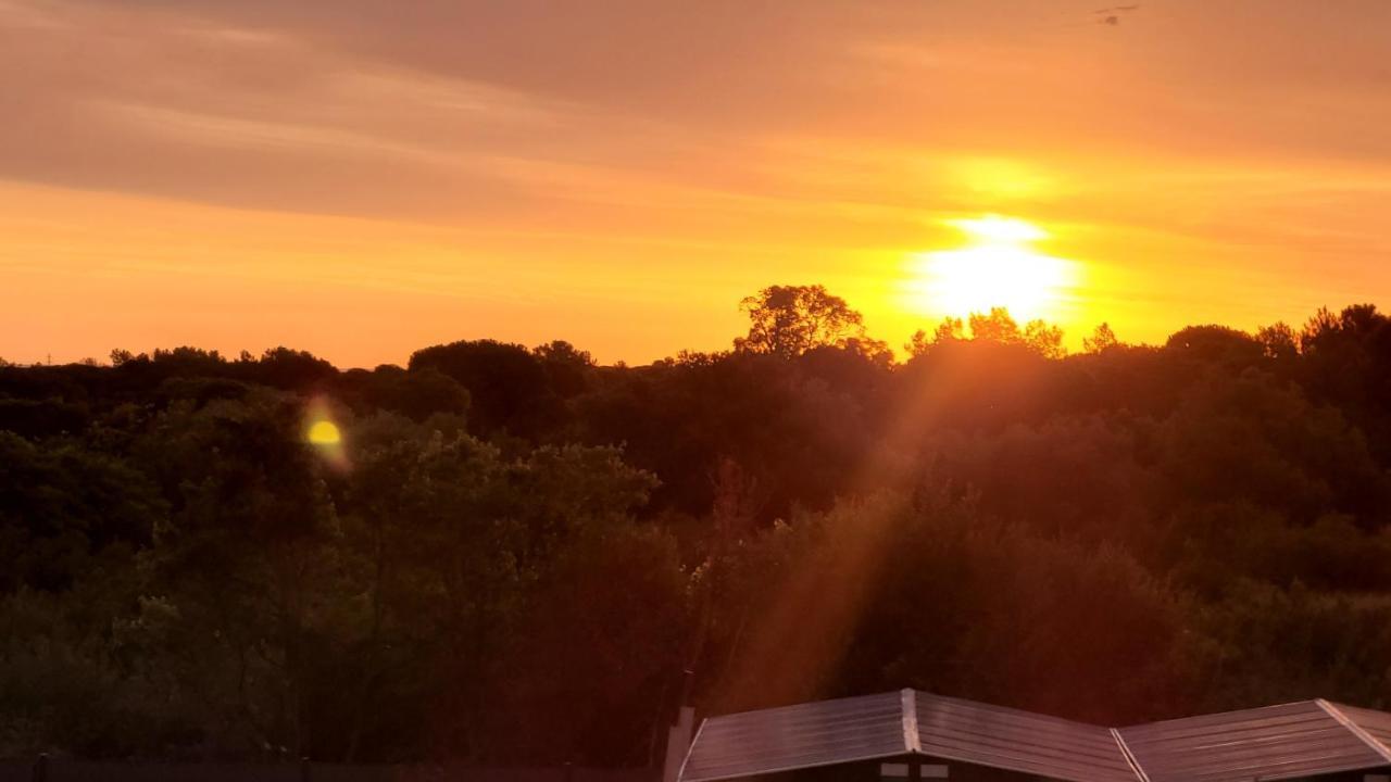 Gite Du Soleil Maison Lumineuse Avec Terrasse Solarium Parking Prive Sorède Exteriér fotografie
